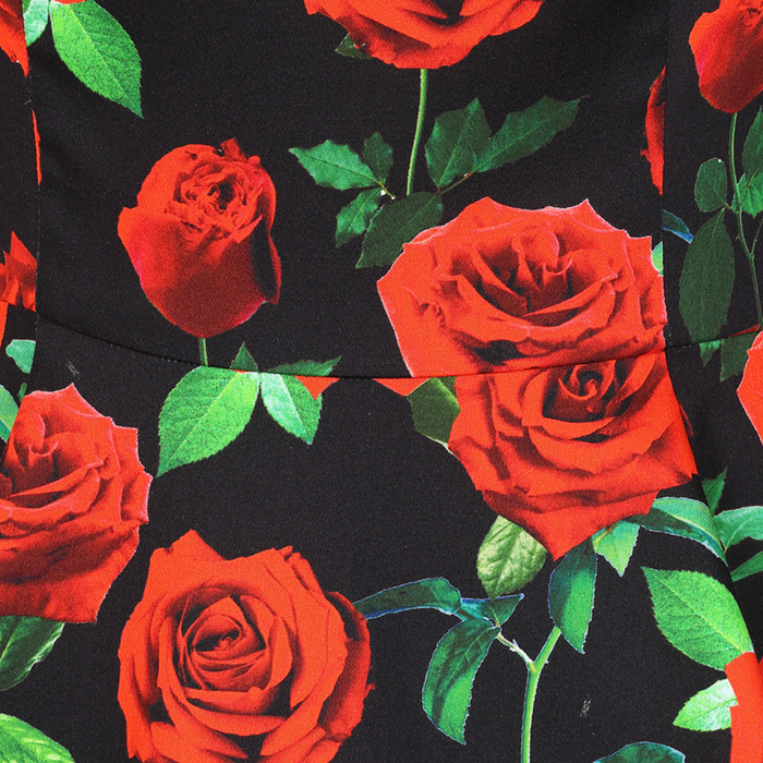 Hearts & Roses Kleid Rosalyn